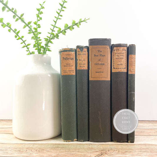 Vintage Blue Book Set