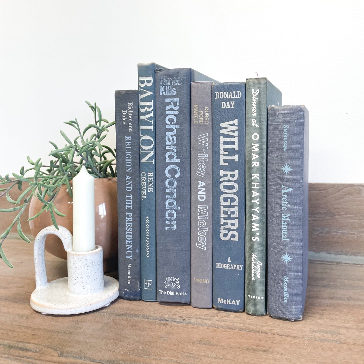 Blue Book Set for Shelf Decor