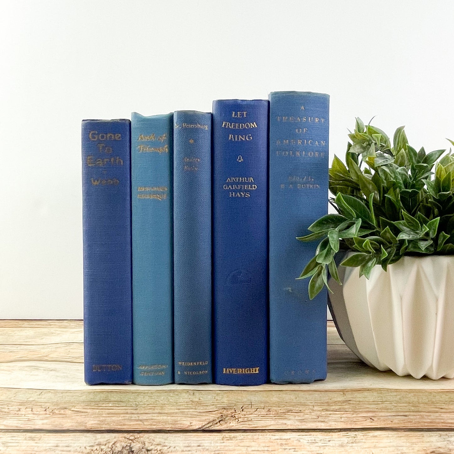 Blue Books for Home Decor