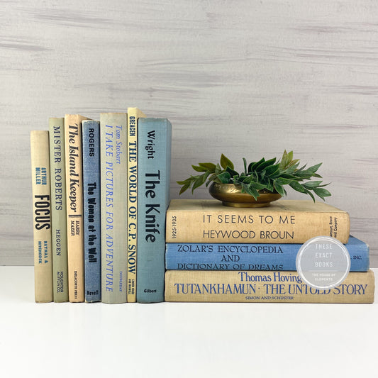 Blue and Cream Decorative Books