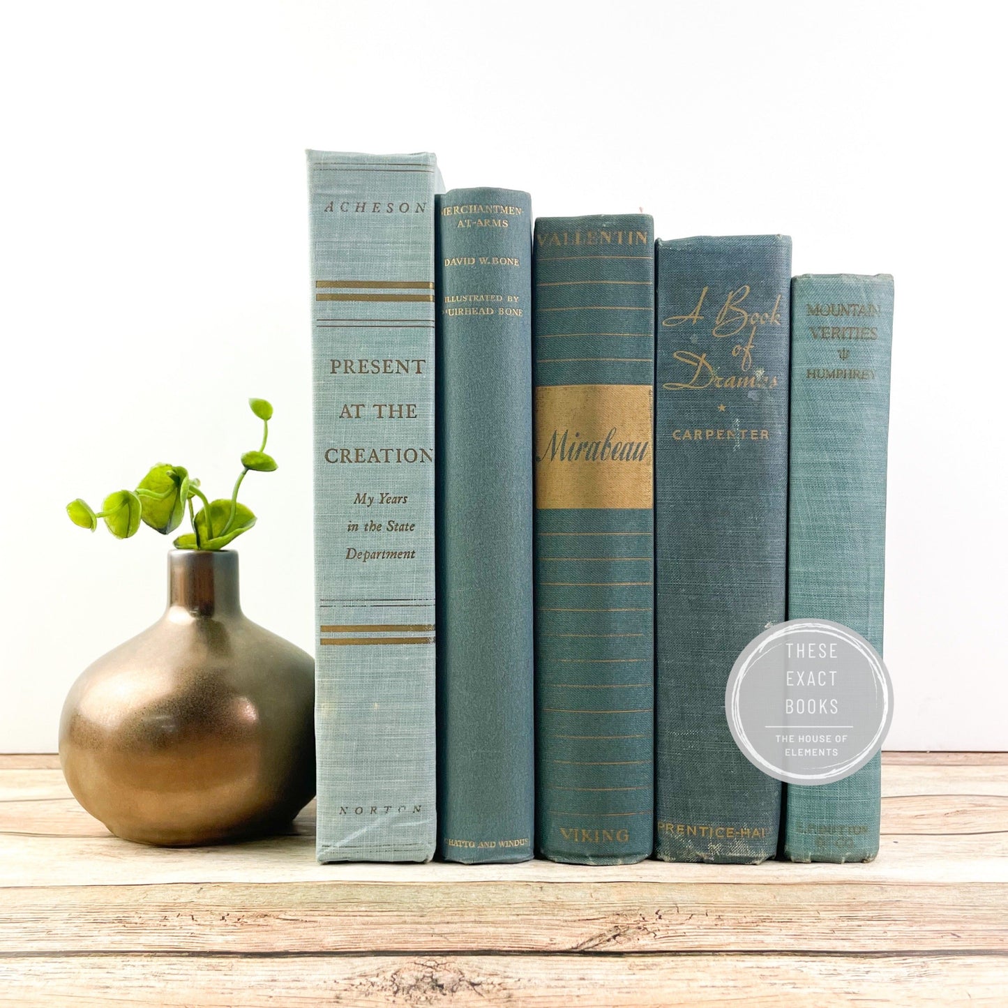 Shades of Blue Books for Home Staging