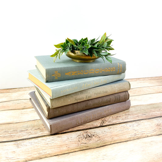 Muted Purple and Blue Books for Home Decorating