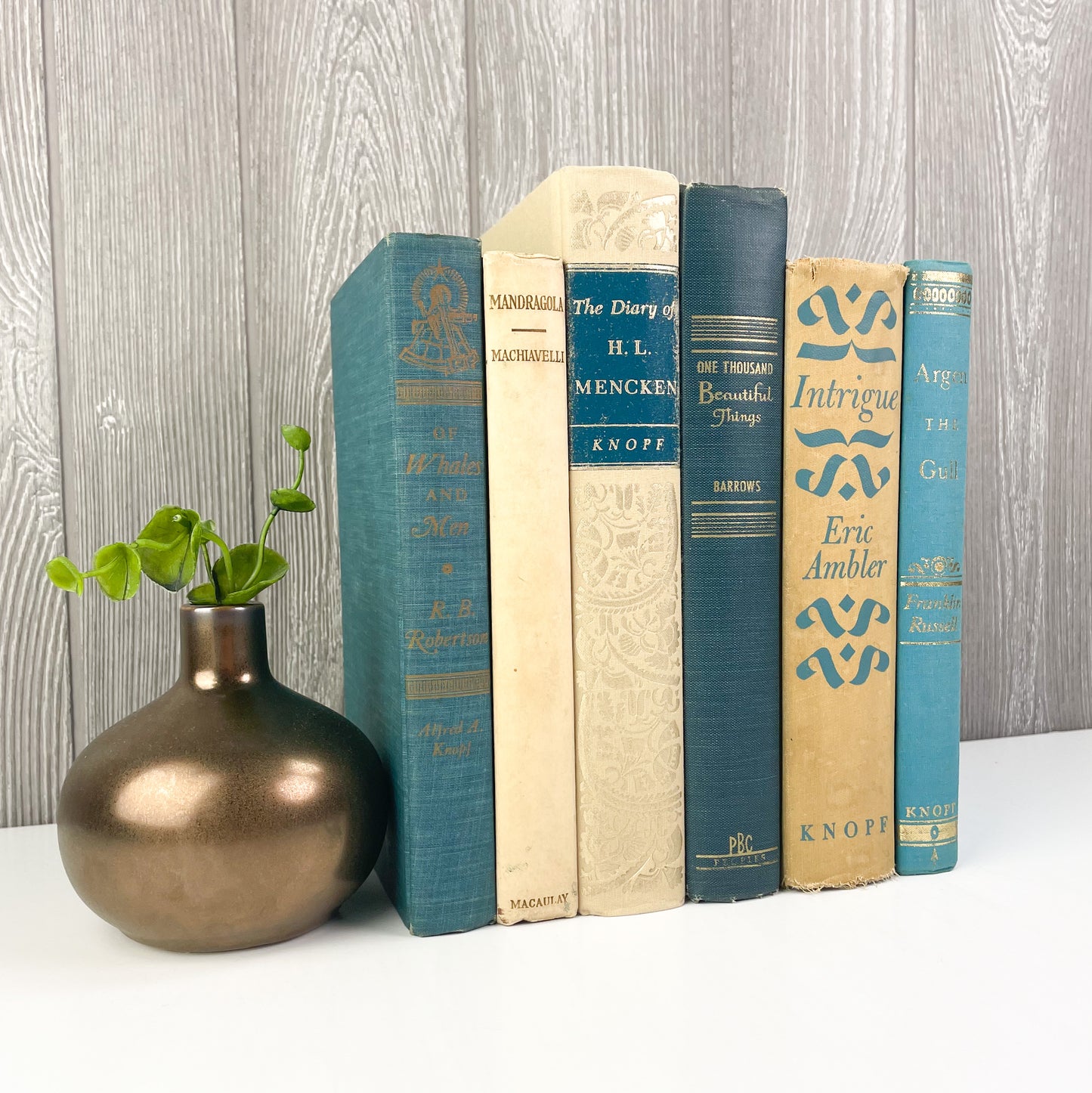 Blue and Cream Books for Decorative Accents