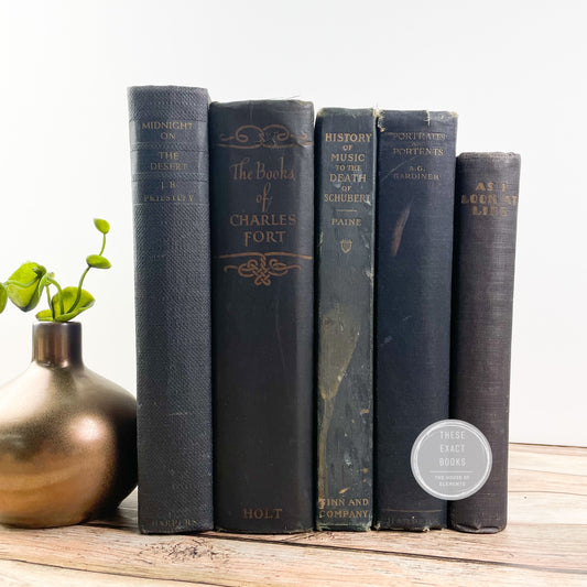 Vintage Blue Books for Home Styling