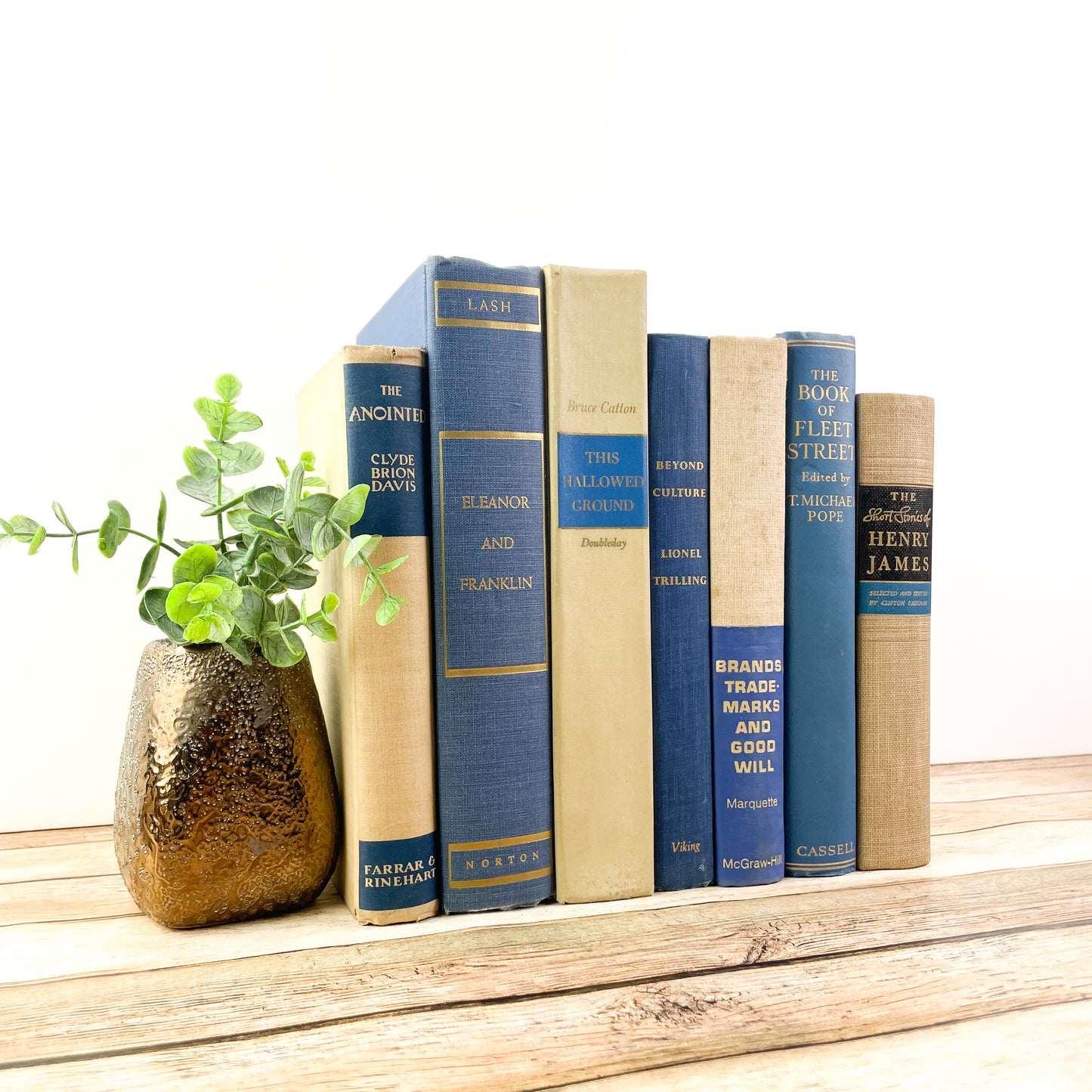 Blue and Cream Decorative Book Set for Home Decor