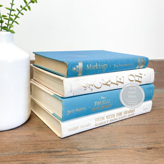 Blue and White Coastal Book Set