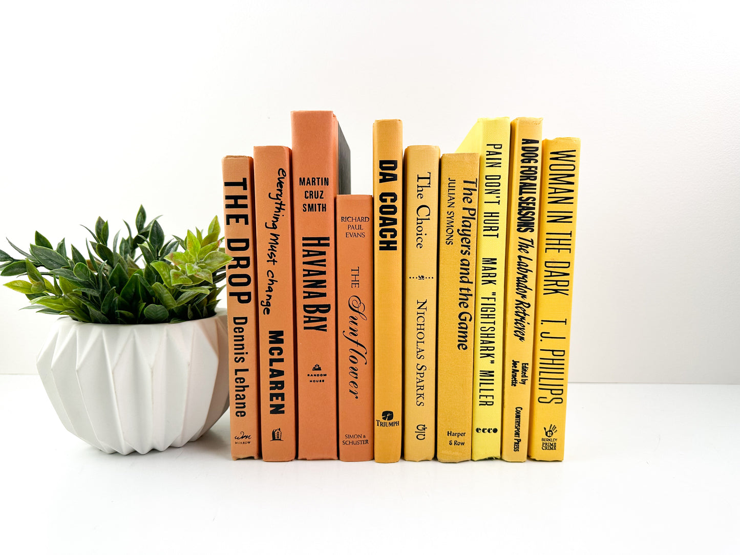 Yellow and Orange Books for Decor