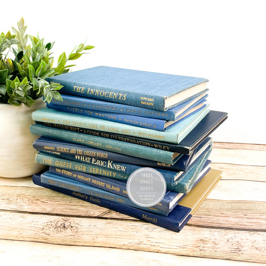 Shades of Blue Home Decor