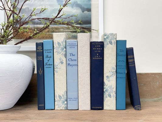 Decorative Books for Shelf Decor