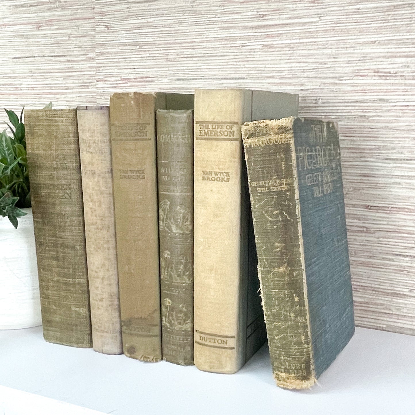 Rustic Blue Books for Shelf Accents