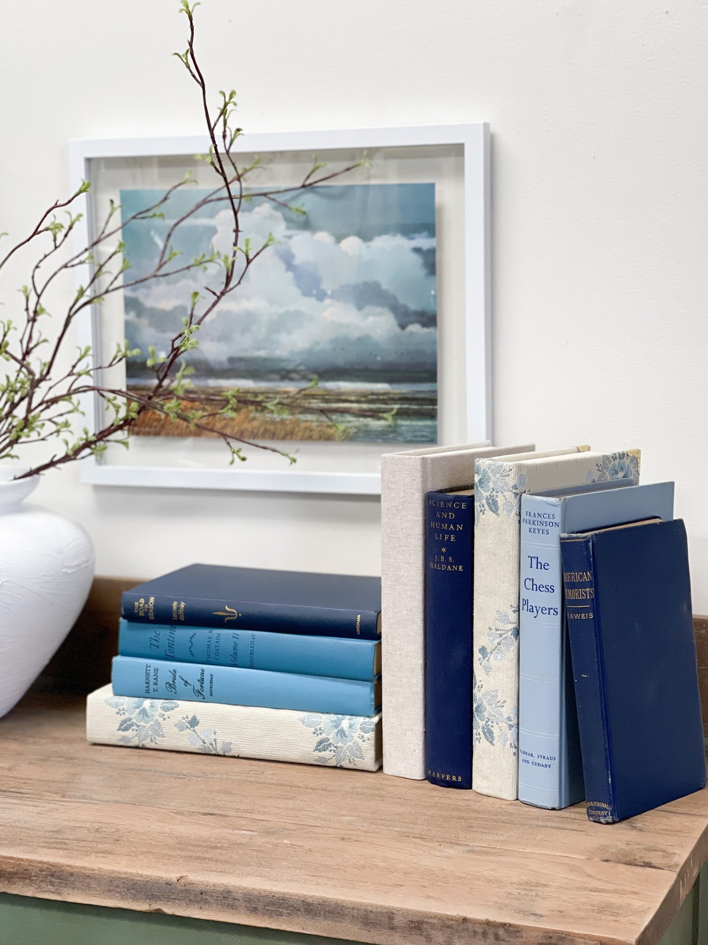 Decorative Books for Shelf Decor