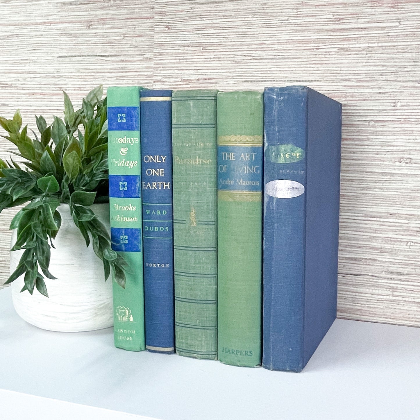 Green and Blue Vintage Books for Home Decor