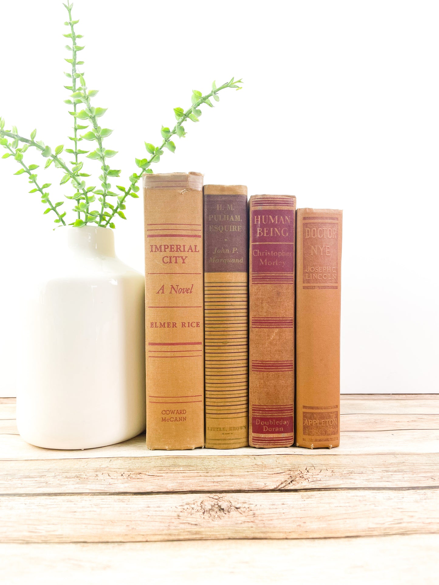 Vintage Brown Books for Bookshelf Accents