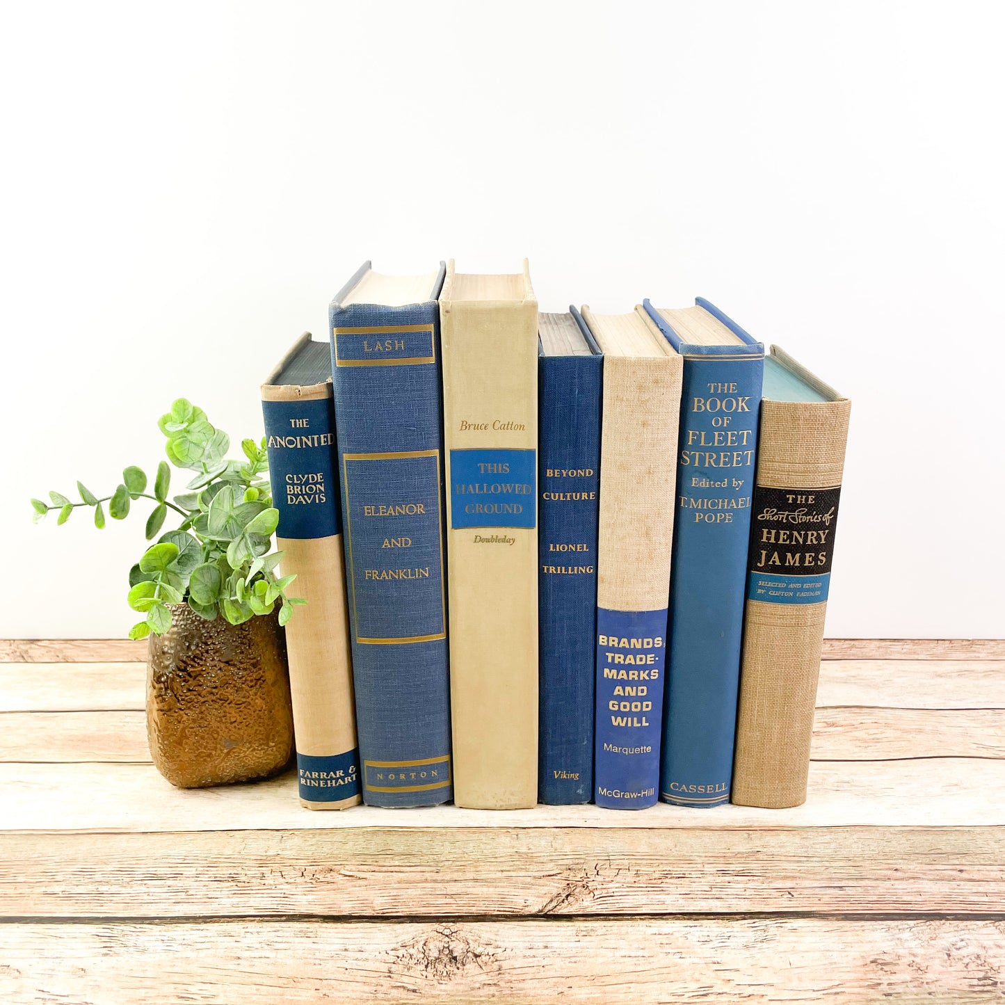 Blue and Cream Decorative Book Set for Home Decor