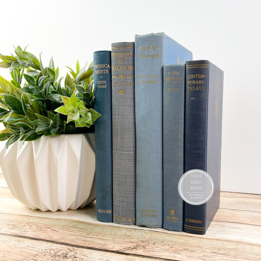 Shades of Blue for Home Decor