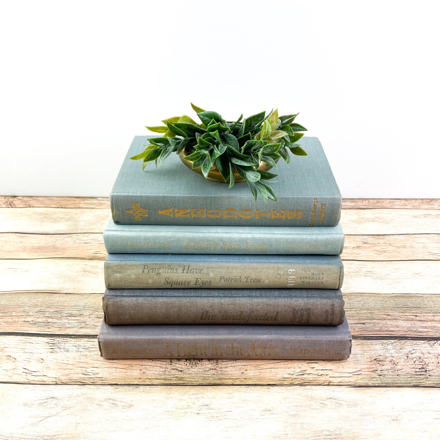 Muted Purple and Blue Books for Home Decorating